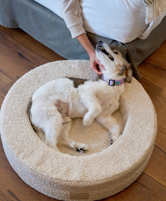 CPS pet bed suppliers